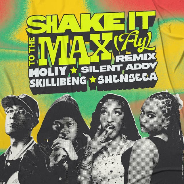 SHAKE IT TO THE MAX (FLY) - REMIX