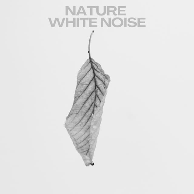 White Noise Bliss