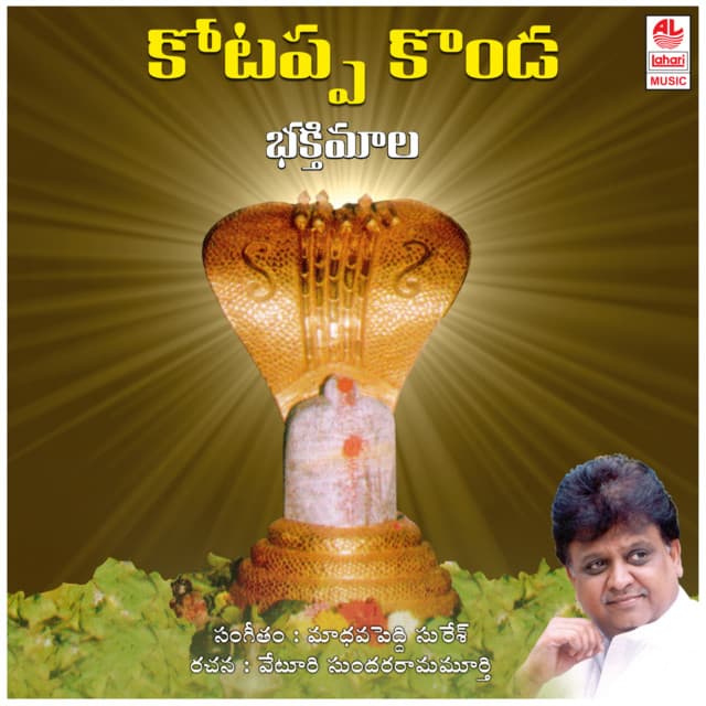 Palle Pata Vidichi