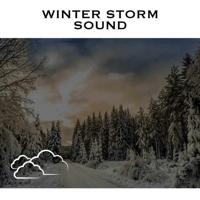 Winter Storm Sound