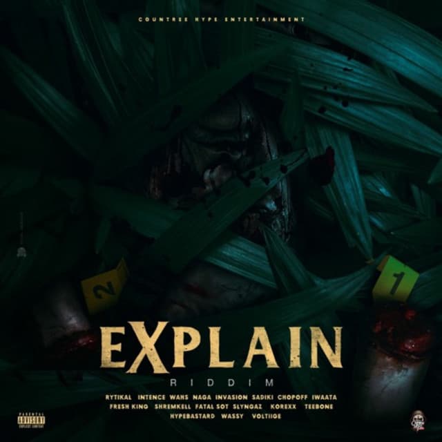 Explain Riddim