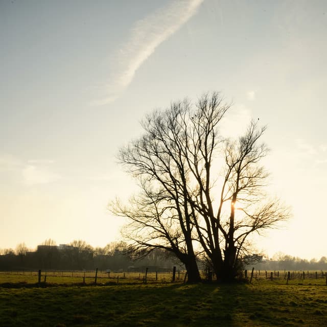 Letters to the Ending Year