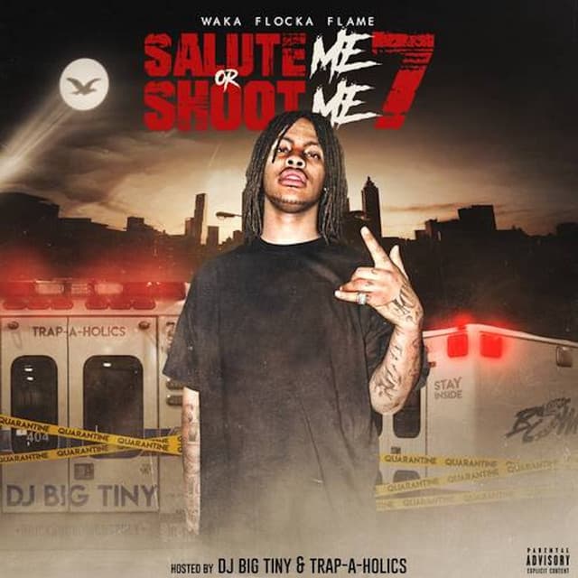 Salute Me or Shoot Me 7