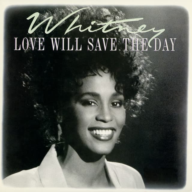 Dance Vault Mixes - Love Will Save The Day