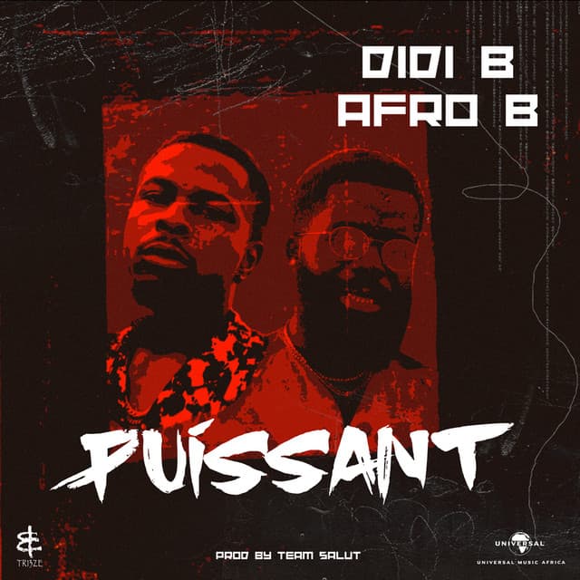 Puissant