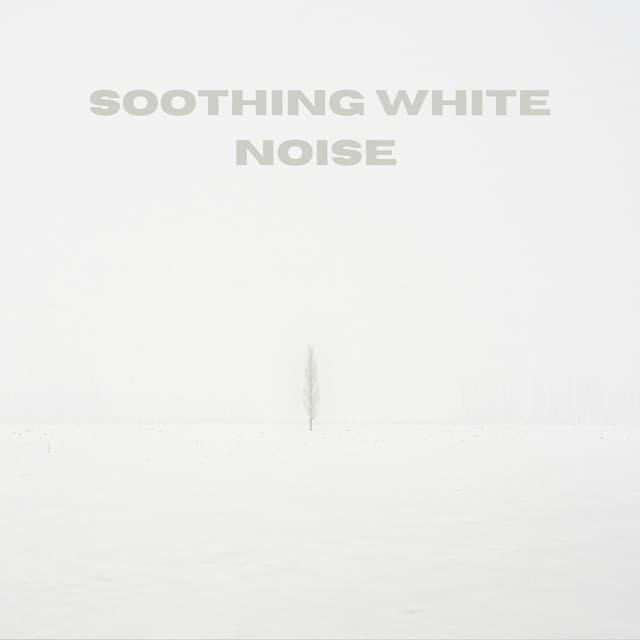Soft Static Serenity