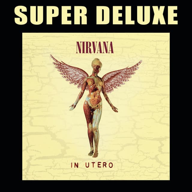 Heart-Shaped Box