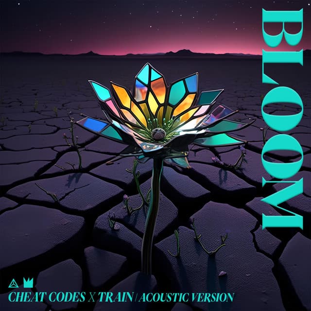 Bloom - Acoustic Version