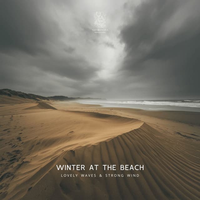 Winter at the Beach - Lovely Waves & Strong Wind