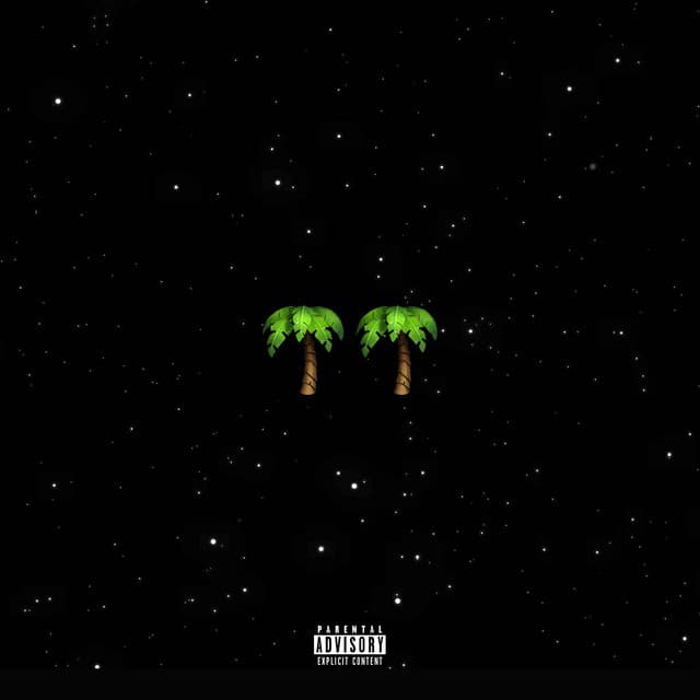 Palmwine Music 2