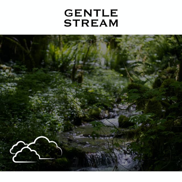 Gentle Stream