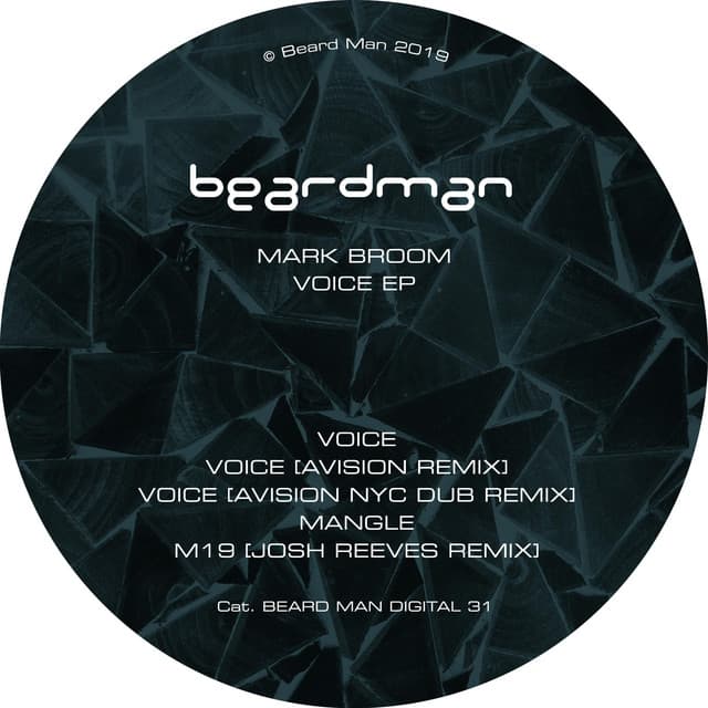 Voice - Avision Remix