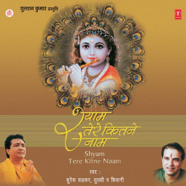 Aai Re Aai Janmashtami Aai