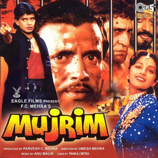 Apradhi to Sara Duniya