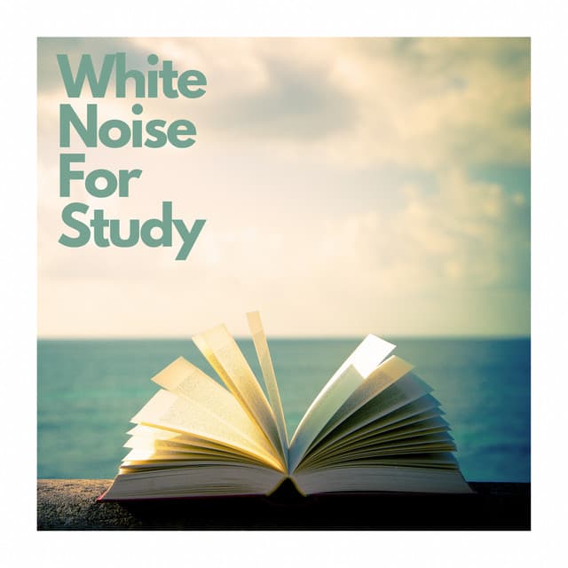 White Noise For Study