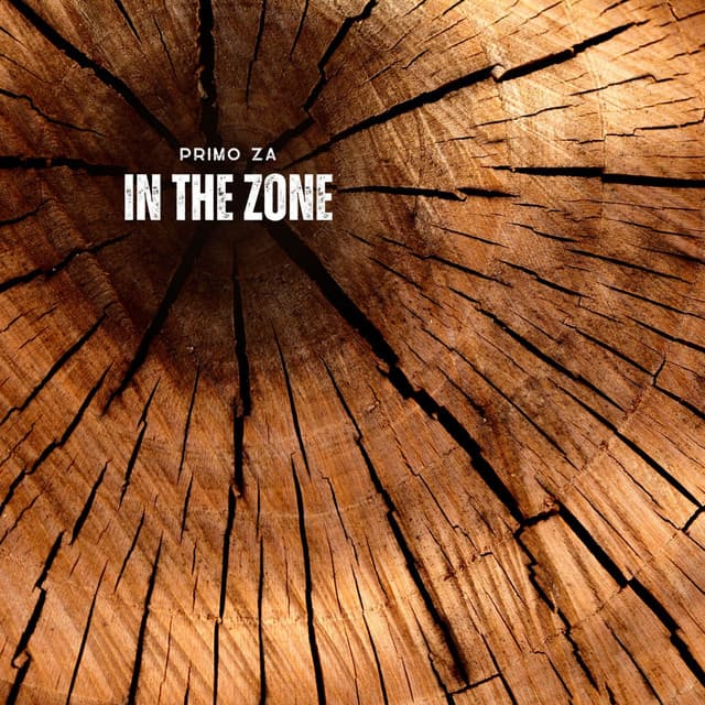 In the Zone - Remastered