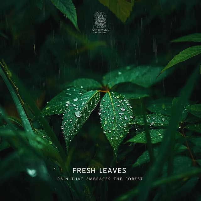 Fresh Leaves - Rain That Embraces The Forest