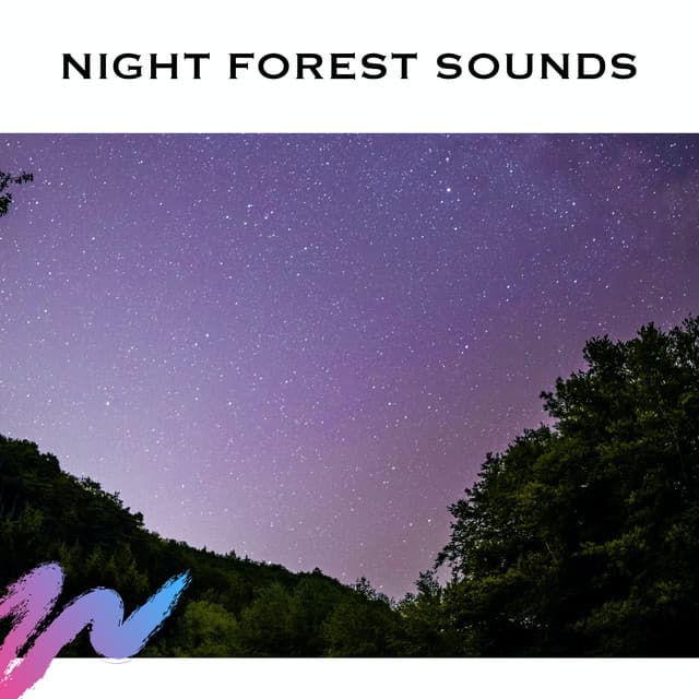 Night Forest Sounds