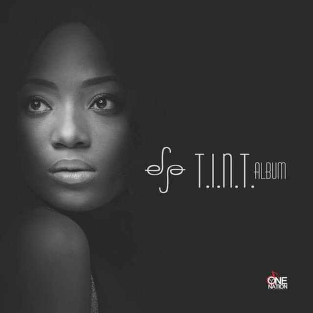 T.I.N.T