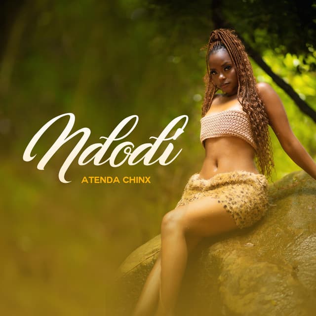 Ndodi
