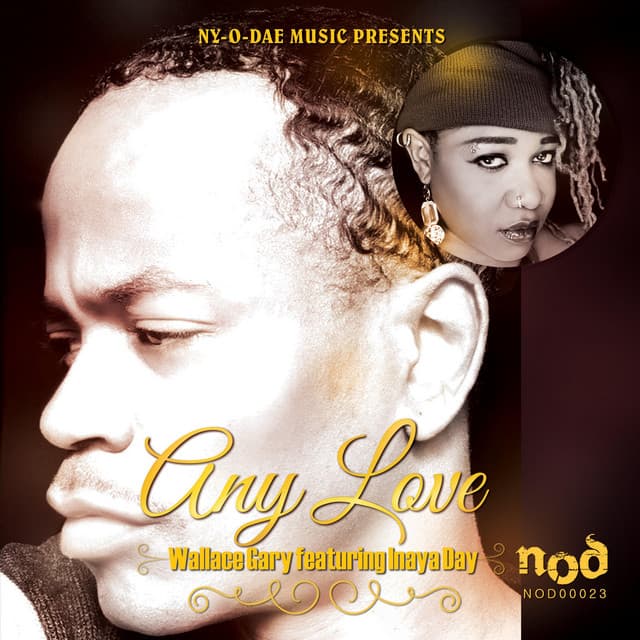 Any Love (feat. Inaya Day) - Lucius Lowe Radio Edit