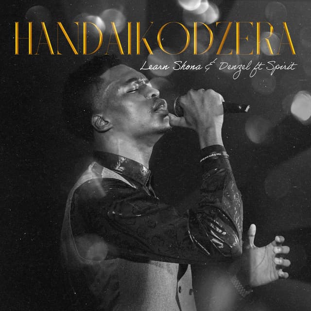 Handaikodzera