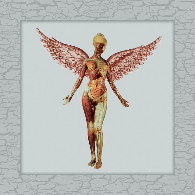 Heart-Shaped Box - 2023 Remaster