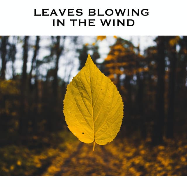 Leaves Blowing In The Wind