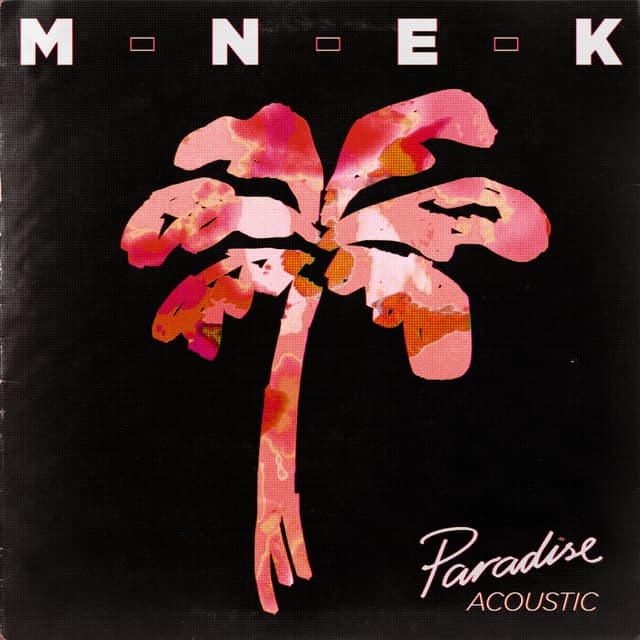 Paradise - Acoustic
