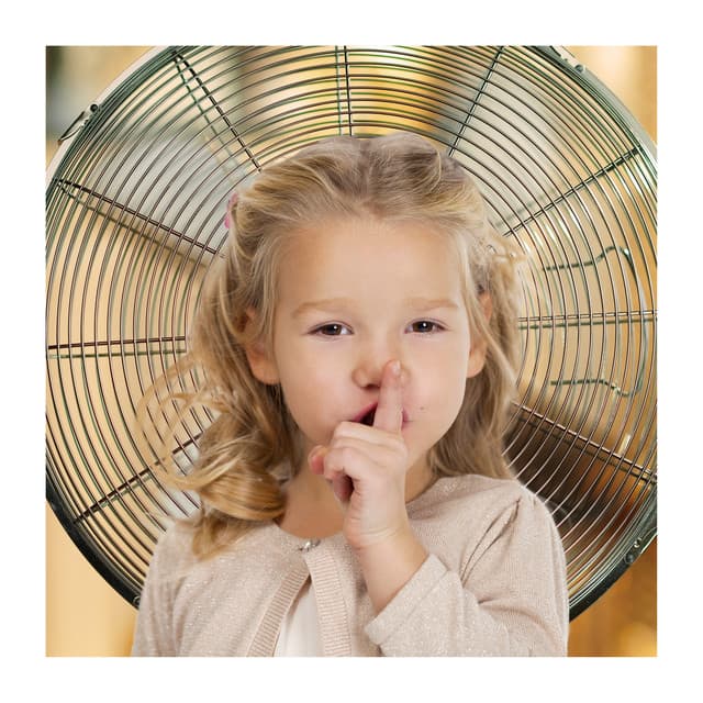 Shhhh Best Baby Shushers With Fan Sounds