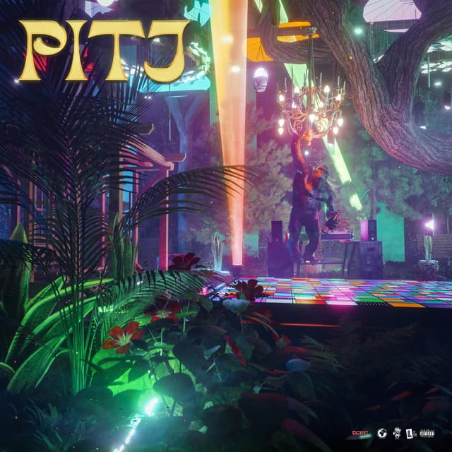 PITJ
