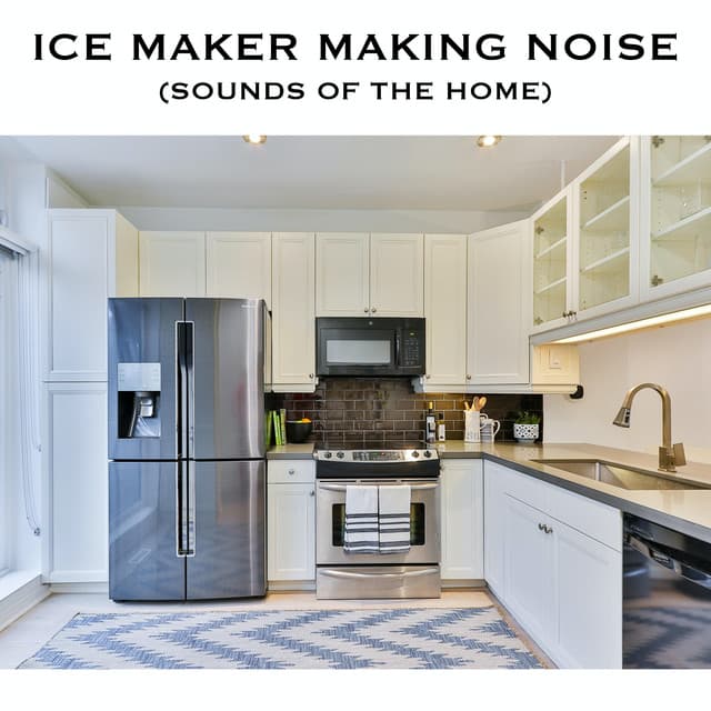 Ice Maker Making Noise (Sounds of the Home)