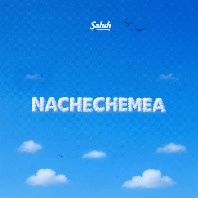 Nachechemea