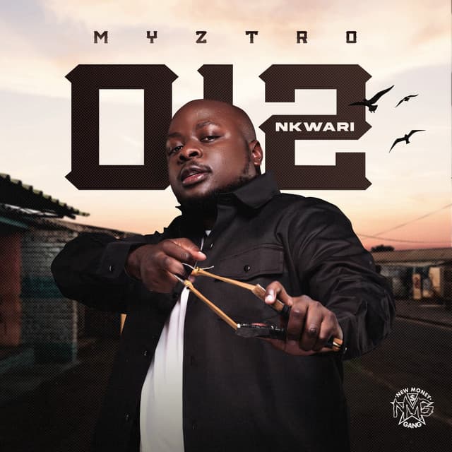Myztro wadi IceTropez (feat. Daliwonga, Djy Biza & ShaunMusiq & Ftears)