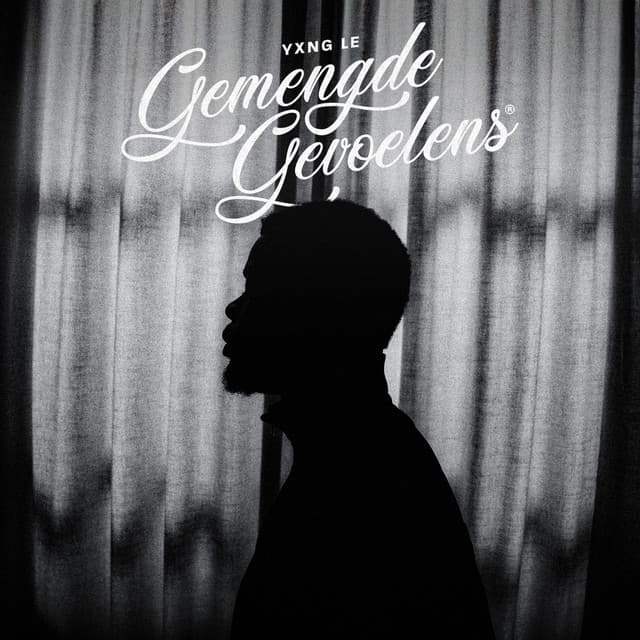 Gemengde Gevoelens