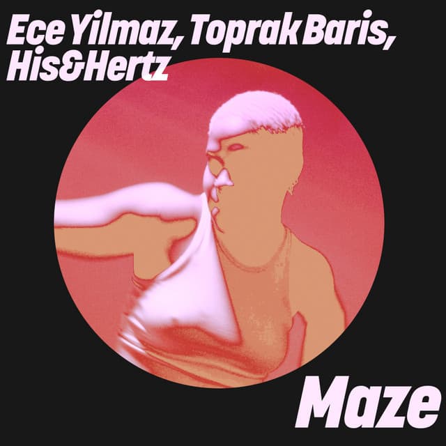 Maze