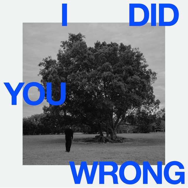 I Did You Wrong