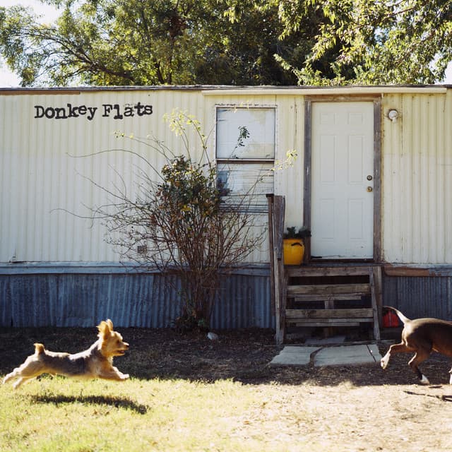 Donkey Flats