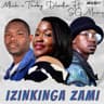 Izinkinga Zami