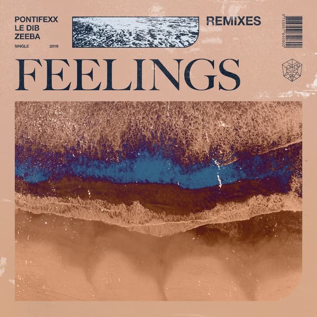 Feelings (Extended Remixes)