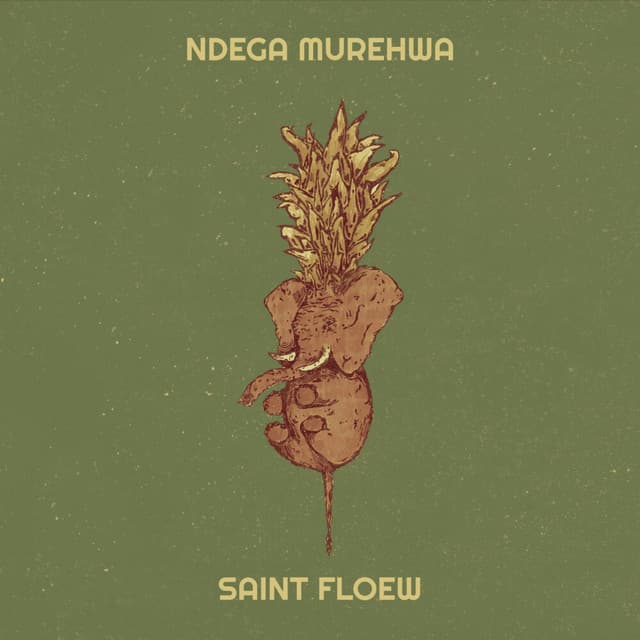 Ndega Murehwa