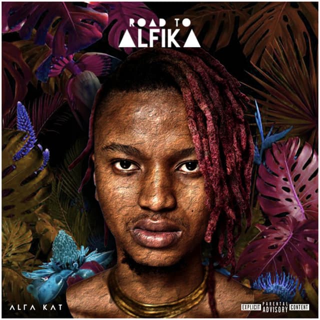 Road to Alfika