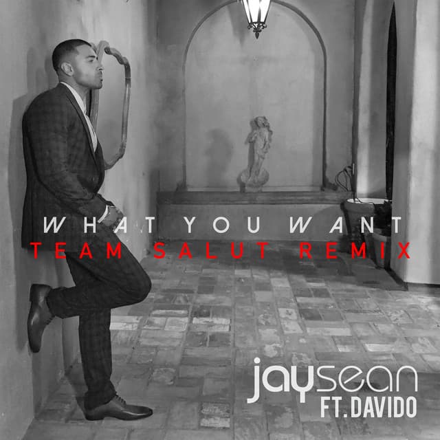What You Want - Team Salut Remix