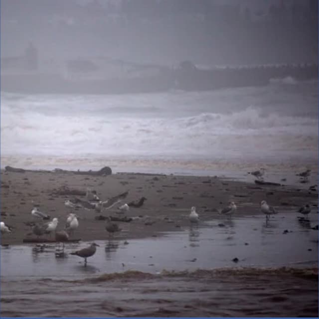 A Very Busy Tide During a Heavy Rain