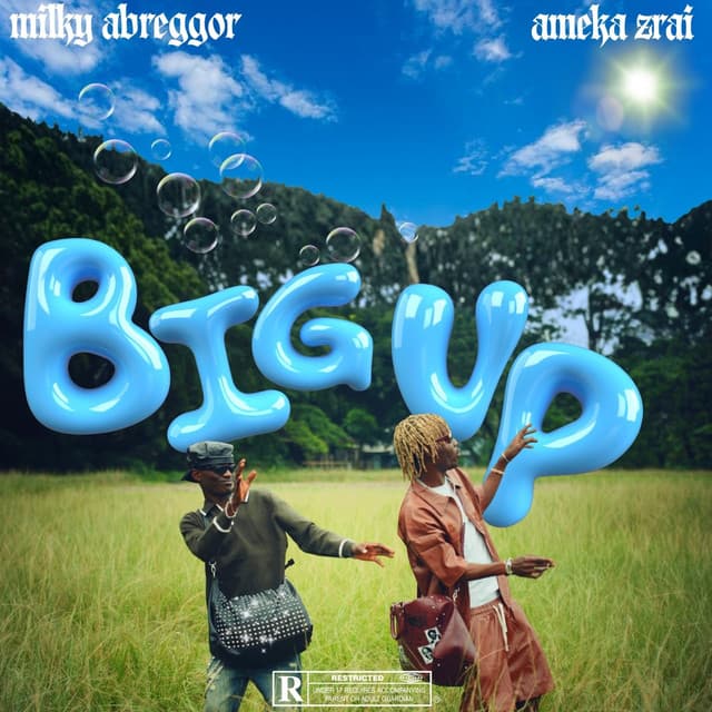 BIG UP (feat. Ameka Zrai)