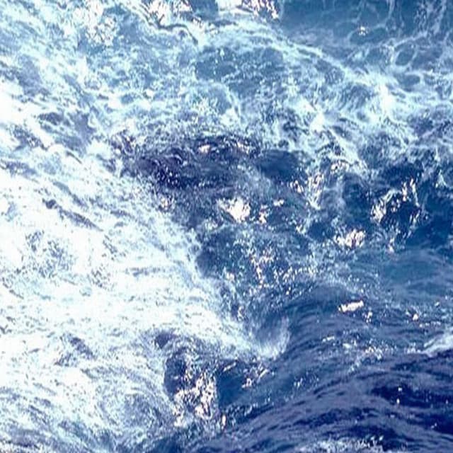 Wave Sounds, Vol 4
