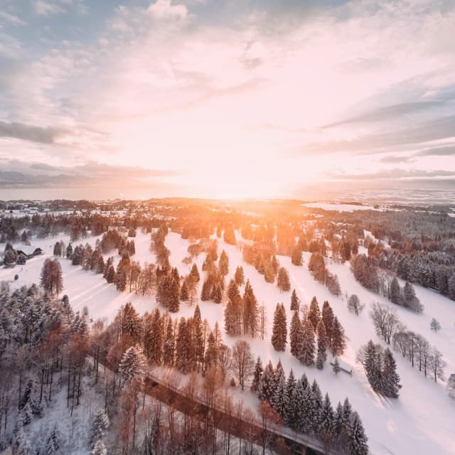 First Light, December