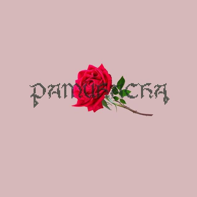 Pamuhacha