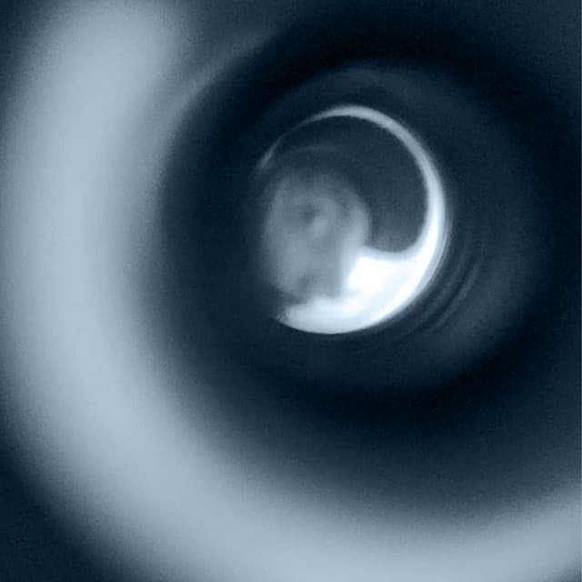 Freakin’ Out