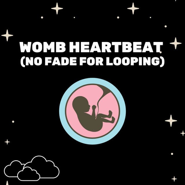 Womb Heartbeat (No Fade for Looping)